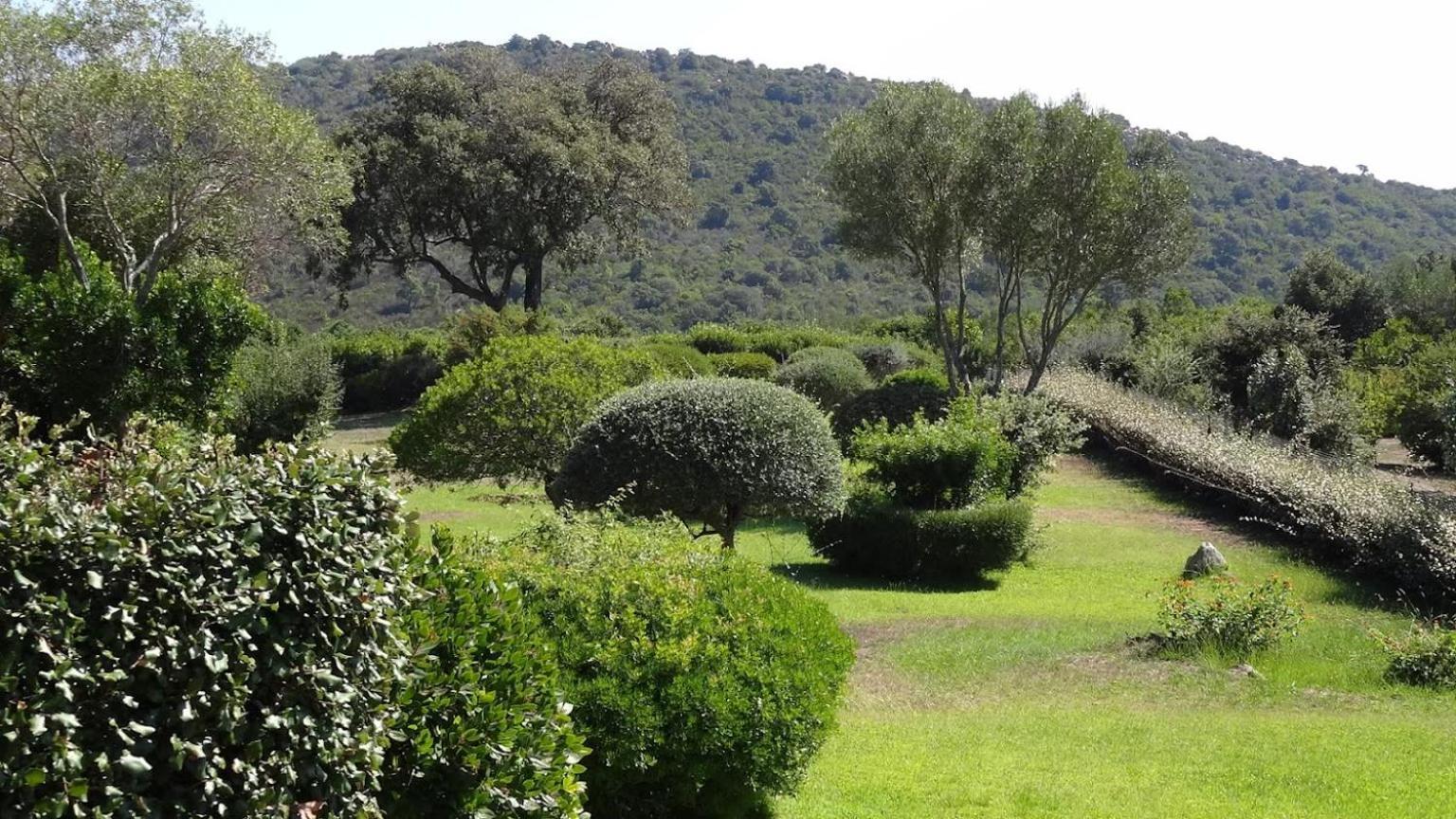 Les Hauts De Santa Giulia Porto-Vecchio  Exterior foto